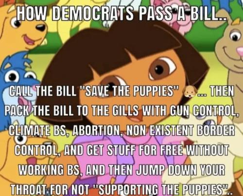 how a Bill works
