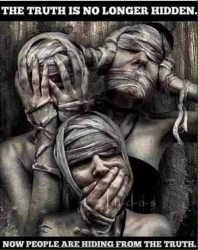 img - 2022-08-04T150453.228