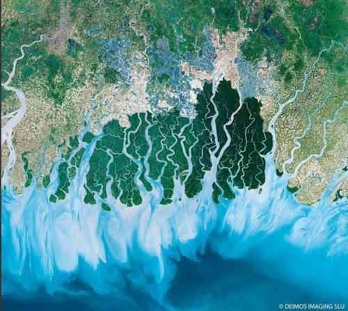 sundarbans