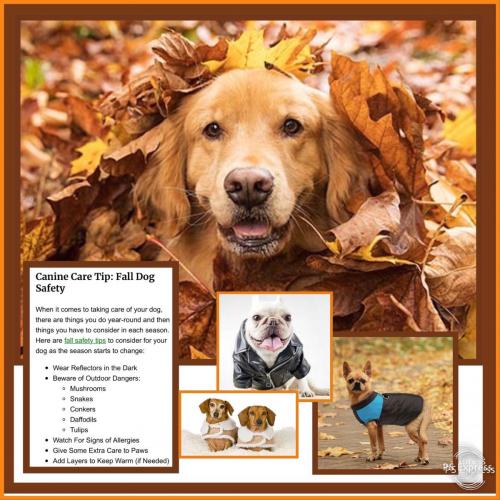 1C872D19-D3DC-4045-95A7-2F41F422C139