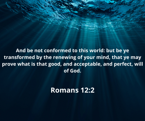 3F3254D0F53426CCF39DBCEC20FC0699.bible122