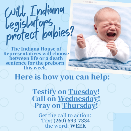 8423E7F7-C650-42BD-B855-59FA2E232019