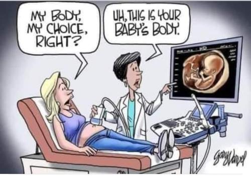 995494C3-E89F-49ED-99BE-BC9DCDFD2127