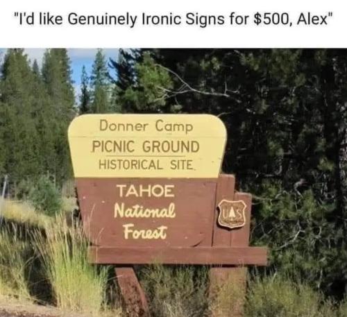 img_2_1661109749502(1)