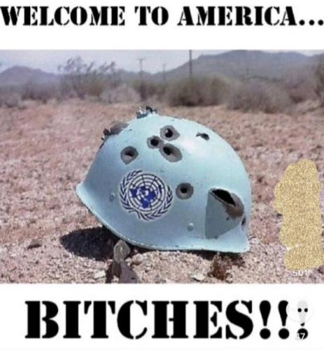 Screenshot_20220814-061302_Gallery