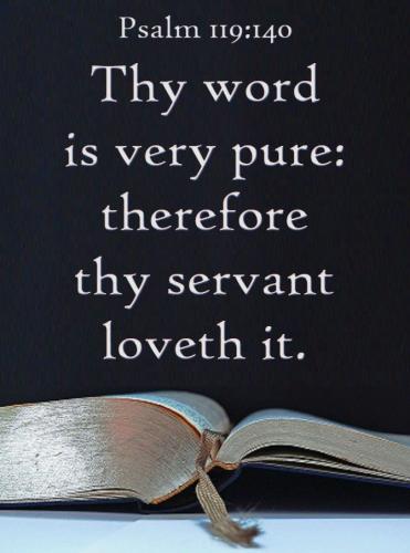 1295c4939d4c5a9feba444fee843fef5