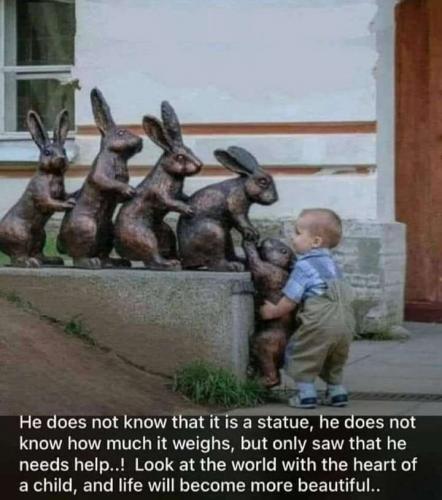 2a62dce8-341d-438b-961d-d69d02e423d7