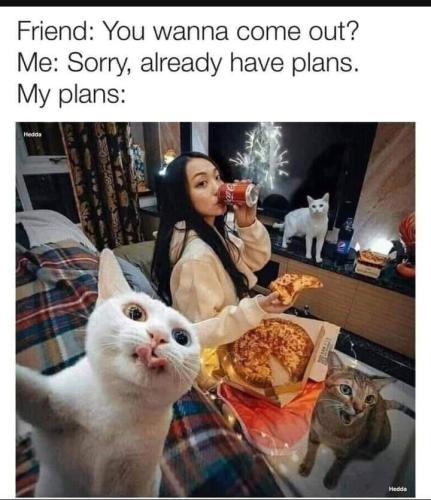 plans
