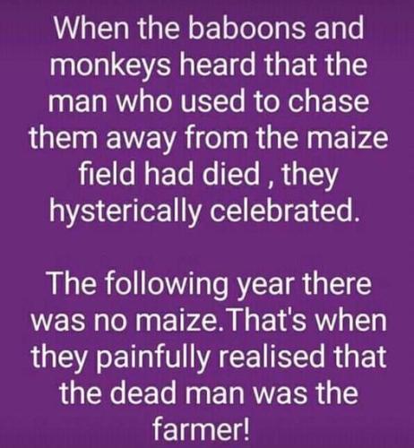 when the baboons and monkeys