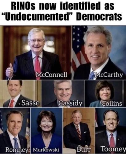 RINOs