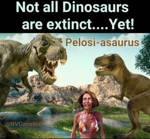 D2F4E4F9-1D71-4DD8-812E-7C5ED81D01E9