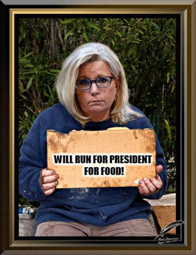 Liz Cheney ~Out of a Job~