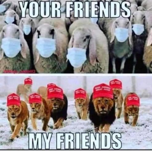 your friends and my friends