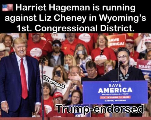 Vote65