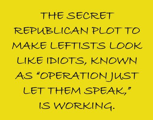 USA secret plot