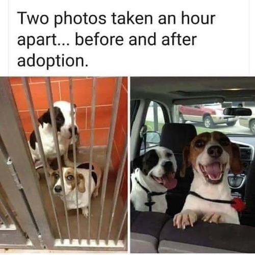 BeforeAfter