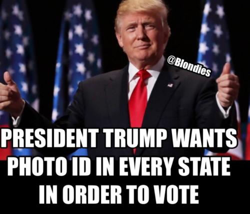 27844335-93ff-4b2b-9c46-4c63a5796609(1)