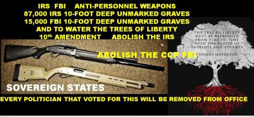 ANTI-PERSONNEL WEAPON FOR FBI AND IRS