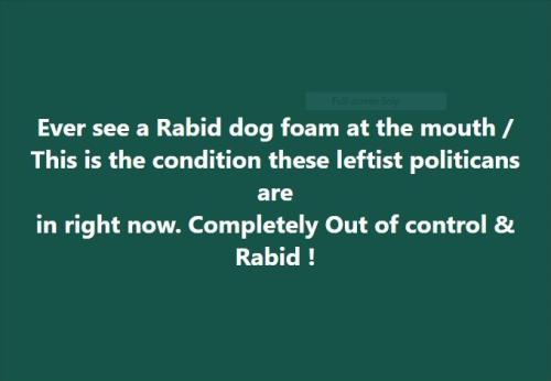 Rabid Dog