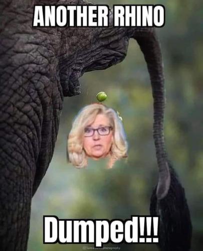 another rhino dumped