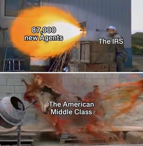 87000 irs agents gunning for you