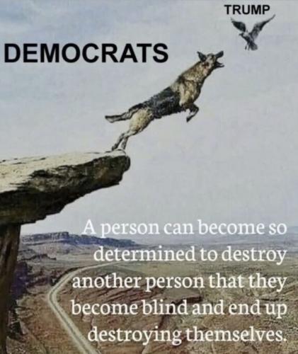 Dems destroy self