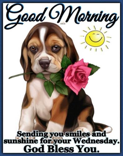 083122 - Smile & sunshine