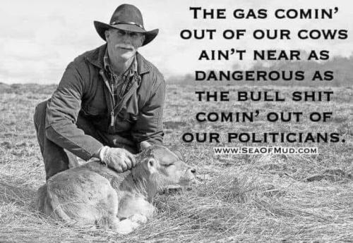 the gas comin out of cows