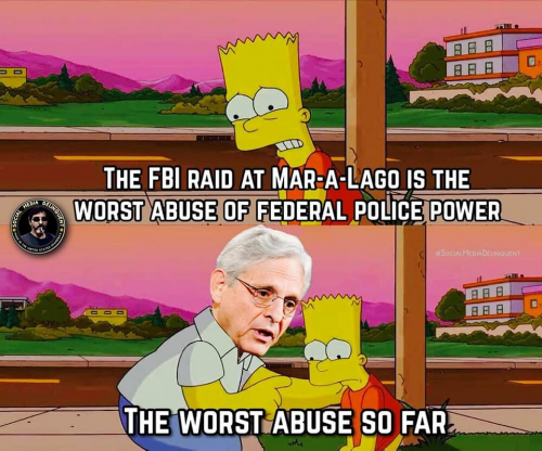 M Fed Police abuse