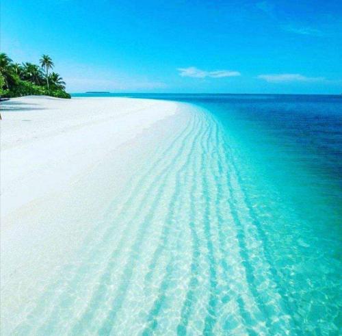 4655b5c5-e6ae-43d3-a60a-1e696b5ed292