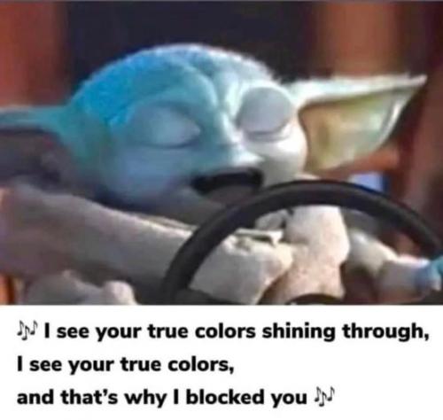 301124410_187094260436680_665370726325007386_n