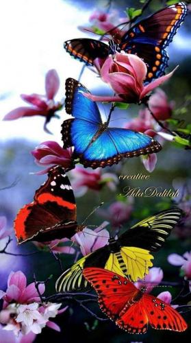 c9480e52-8ef3-4e30-a1bc-4f76c135d35e