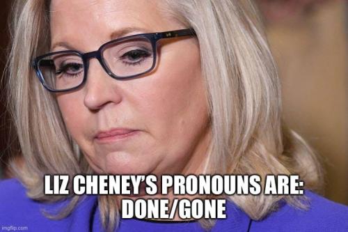 lizzie cheneys pronouns are done gone