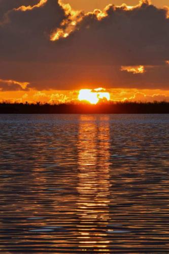 292c848c-cc80-449a-b4eb-dbdfd0db753e