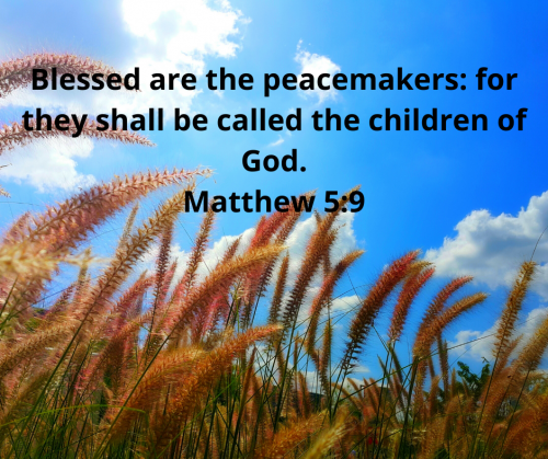 5B5844EEE88F23242D57EC4404061A43.bible101