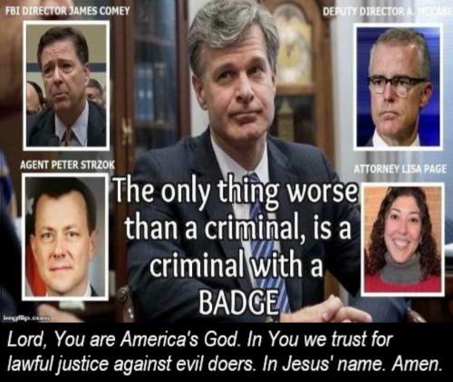 USA Criminal w badge