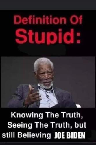 Definition of stupid is