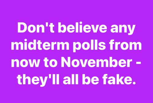 don't believe midterm polls