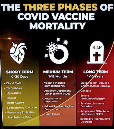 8E925352-5A4B-4453-BA8A-D6BCB0975F9E