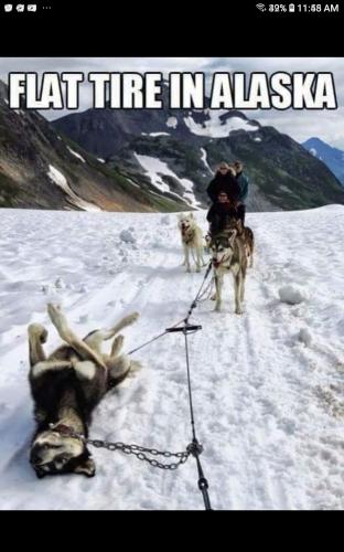 Screenshot_20220810-115834_Samsung Experience Home