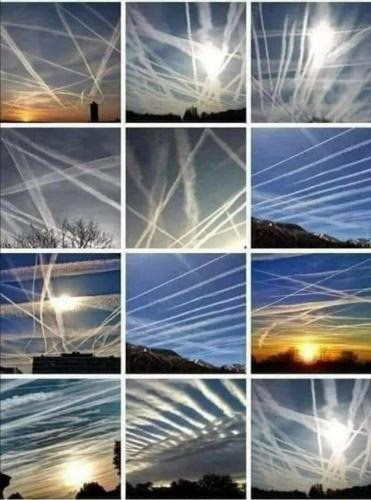 47e87b76-7d91-42bc-8e0e-871db59a9662