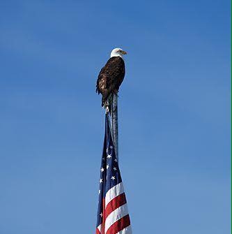 Flag - Flagpole with eagle on top