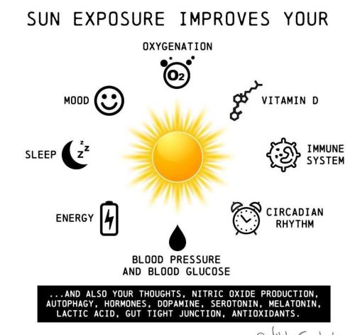 IMG_20220801_050159_861