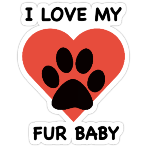 i love my fur baby