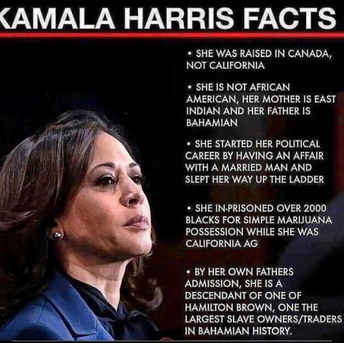 538515E7-DB06-4A8B-8537-057A45EABE63