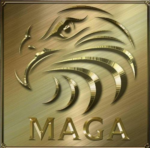 75564647_10156573867640913_6445689576974450688_n