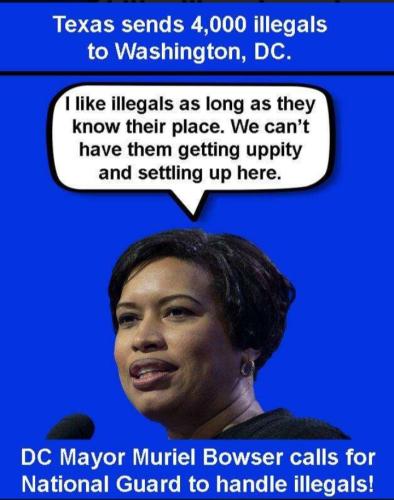 Screenshot_20220801-203313_Parler