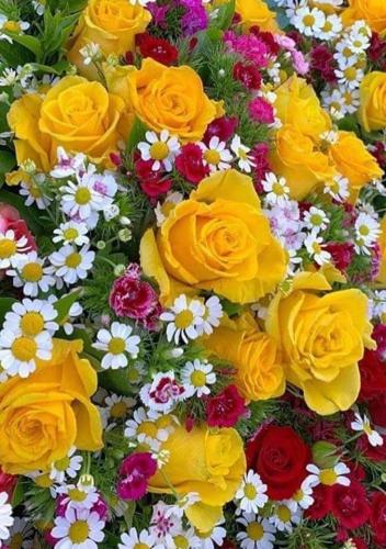 FB_IMG_1660048087946