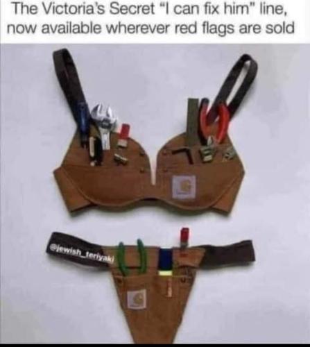 Victorias secret i can fix him line