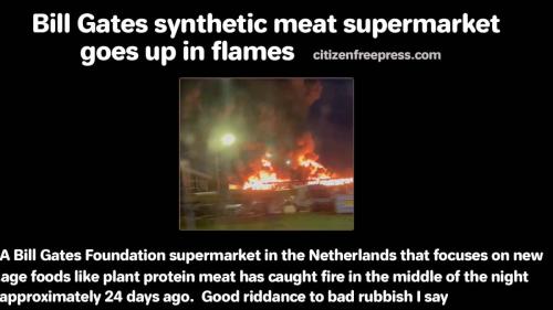 BillGatesFakeMeatStoreBurnsDown